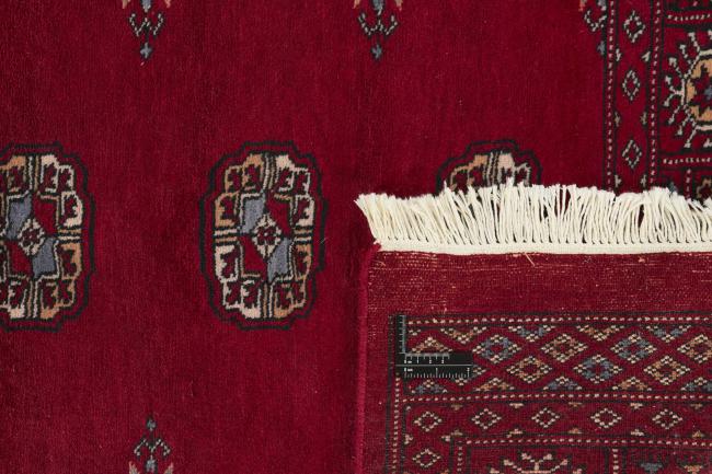 Pakistan Buchara 3ply - 1