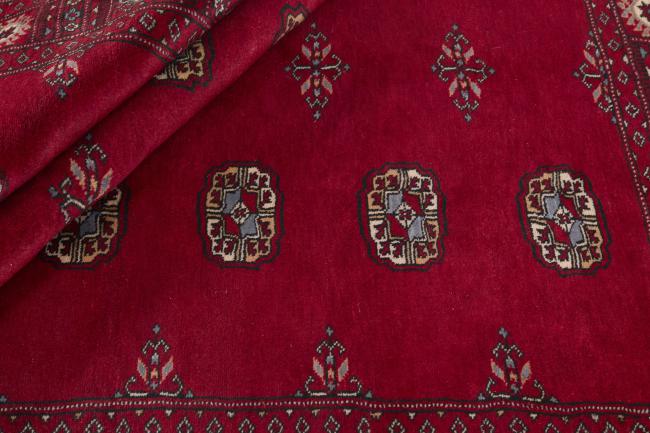 Pakistan Buchara 3ply - 2