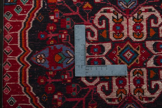 Shiraz - 4