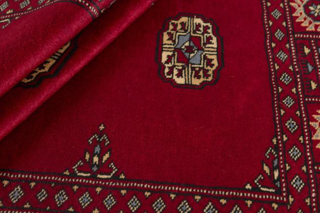 Pakistan Buchara 2ply - 2