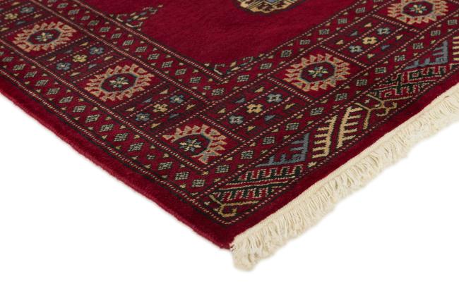 Pakistan Buchara 2ply - 3