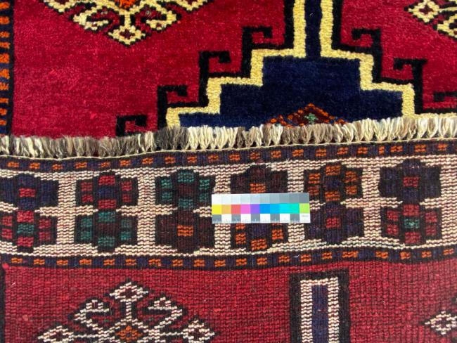 Shiraz - 4
