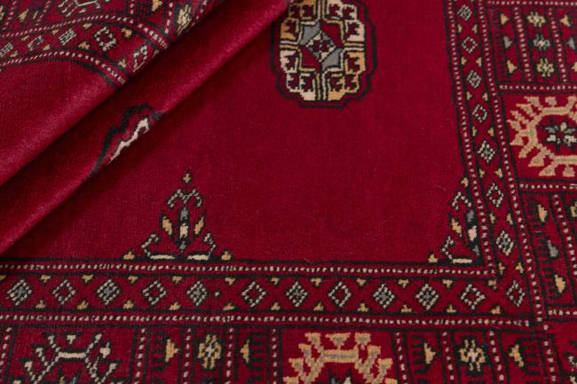 Pakistan Buchara 2ply - 1