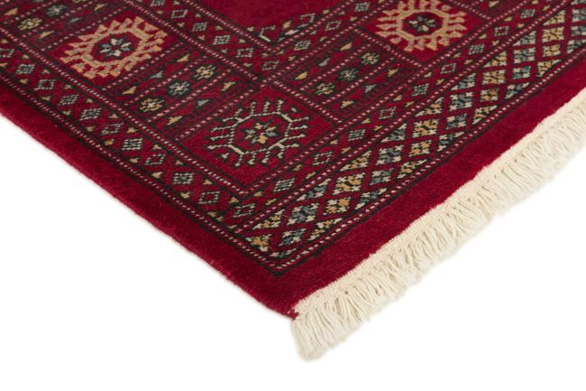 Pakistan Buchara 2ply - 3