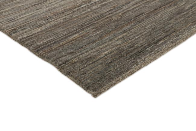 Arijana Ziegler Farahan - 3