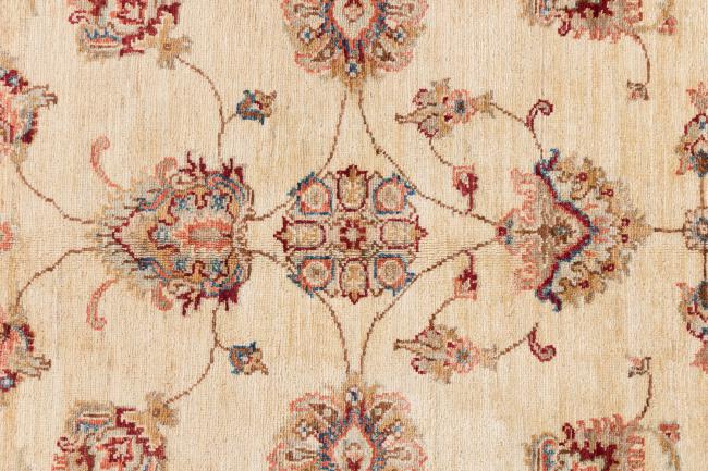 Ziegler Farahan - 7