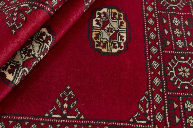 Pakistan Buchara 2ply - 2