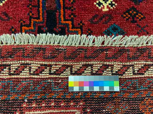 Shiraz - 4