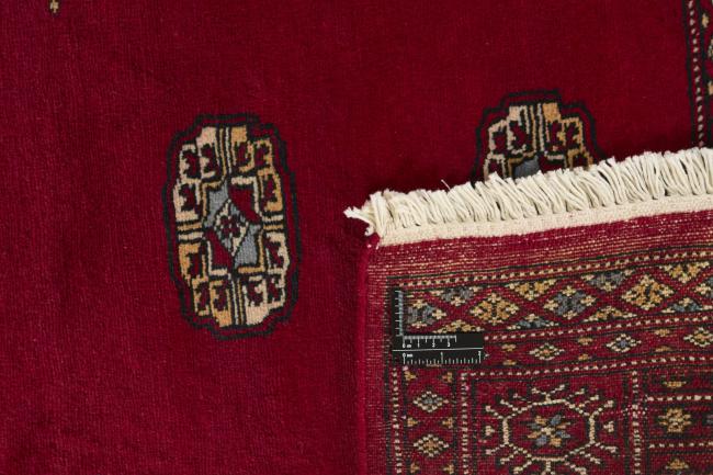 Pakistan Buchara 2ply - 1