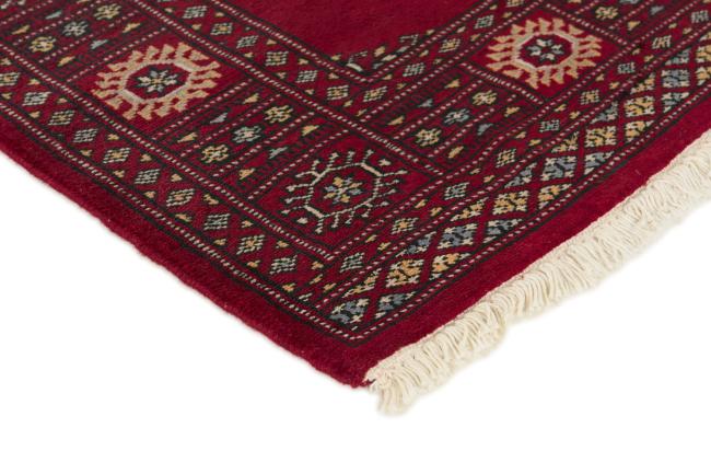 Pakistan Buchara 2ply - 3