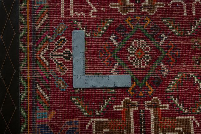 Shiraz - 4