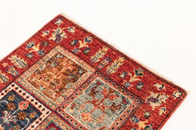 Ziegler Farahan - 3