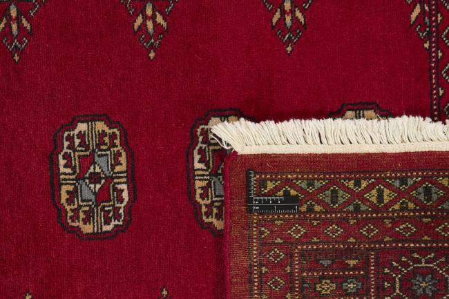 Pakistan Buchara 2ply - 1