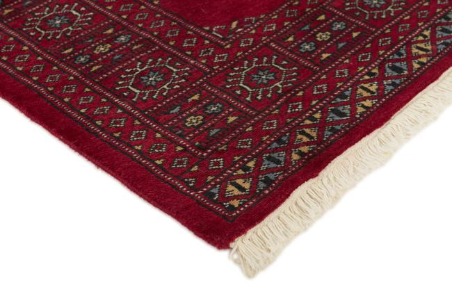 Pakistan Buchara 2ply - 3