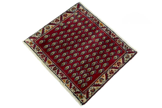 Shiraz - 1