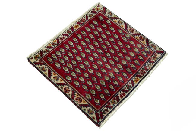Shiraz - 2
