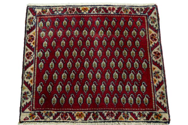 Shiraz - 3