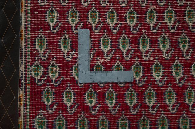 Shiraz - 4