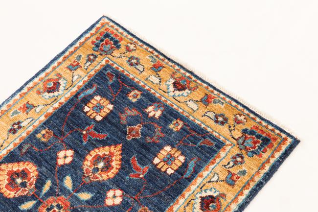 Ziegler Farahan - 3