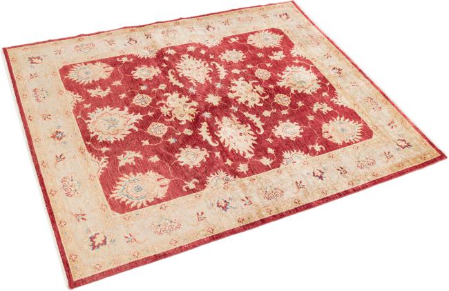 Ziegler Farahan - 2