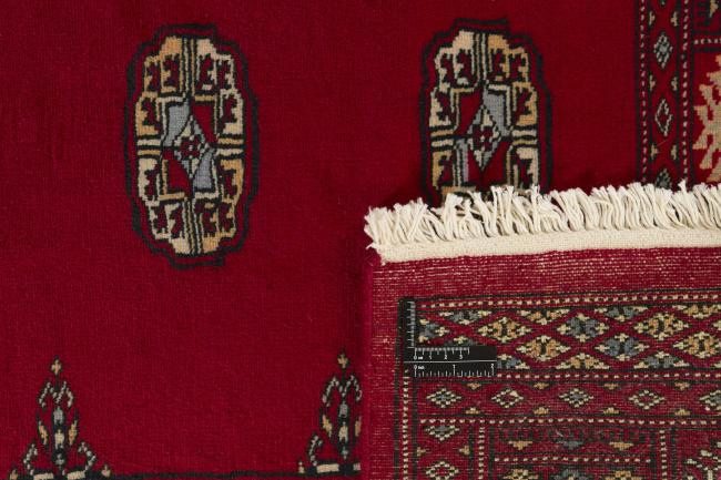 Pakistan Buchara 2ply - 1