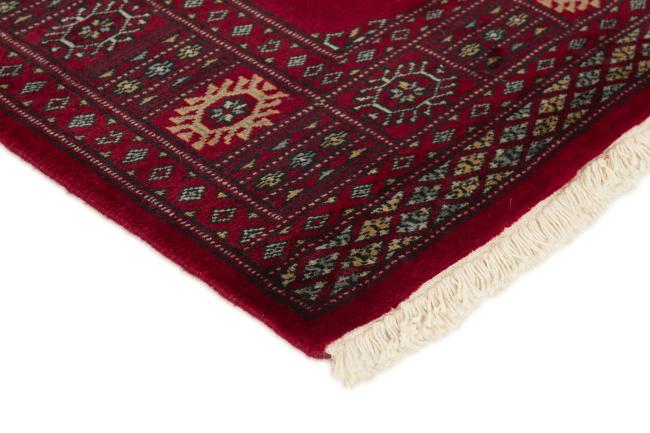 Pakistan Buchara 2ply - 3