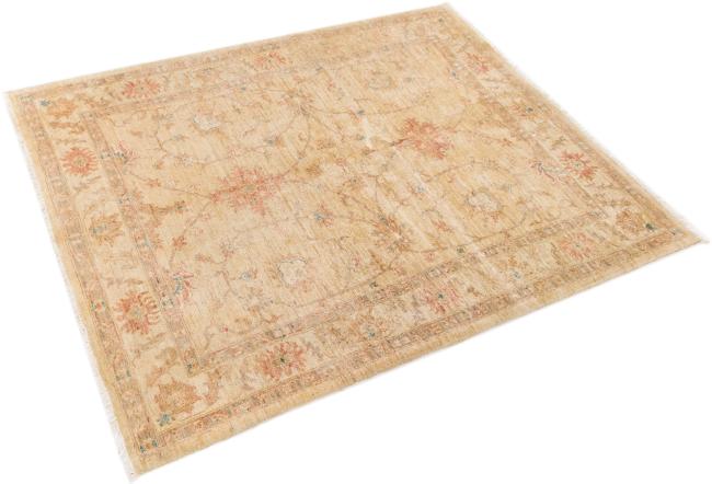 Ziegler Farahan - 1