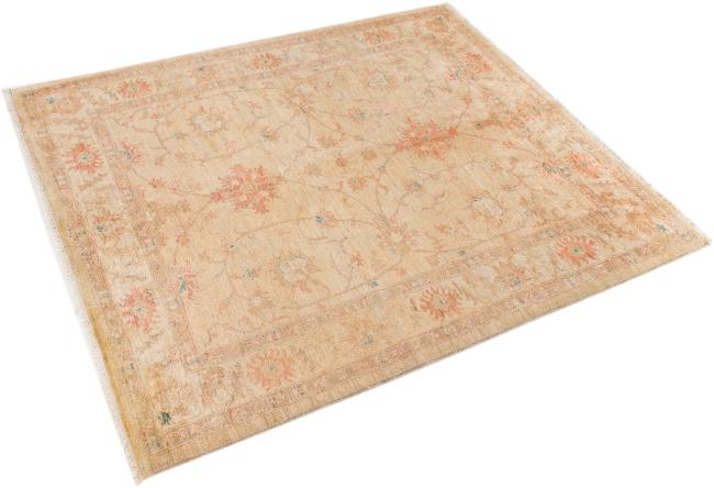 Ziegler Farahan - 2