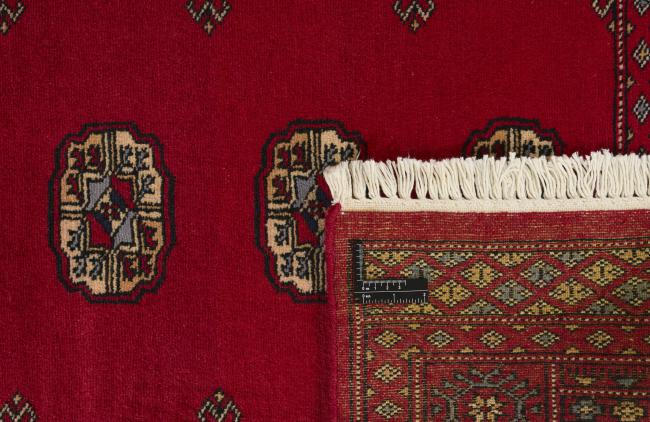 Pakistan Buchara 2ply - 1