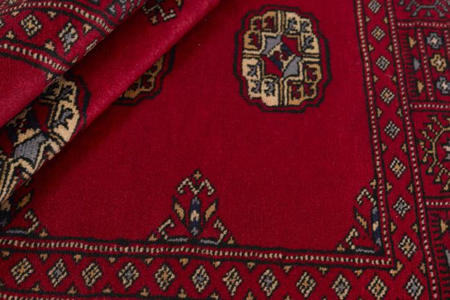 Pakistan Buchara 2ply - 2