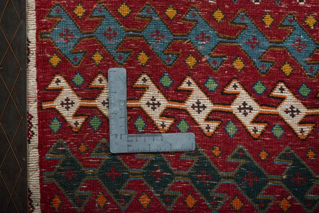 Shiraz - 4