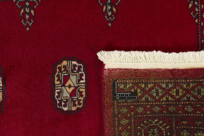 Pakistan Buchara 2ply - 1