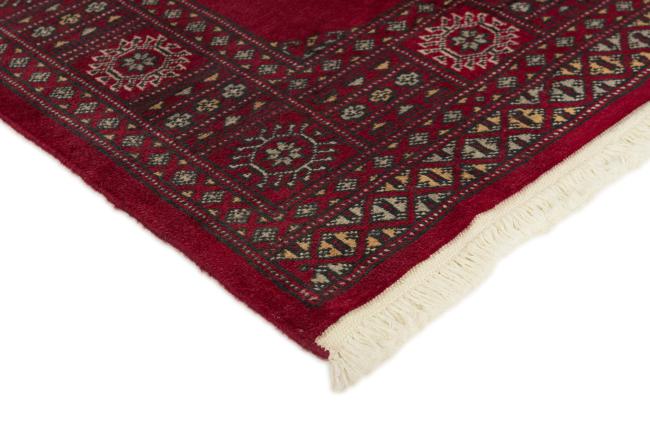 Pakistan Buchara 2ply - 3