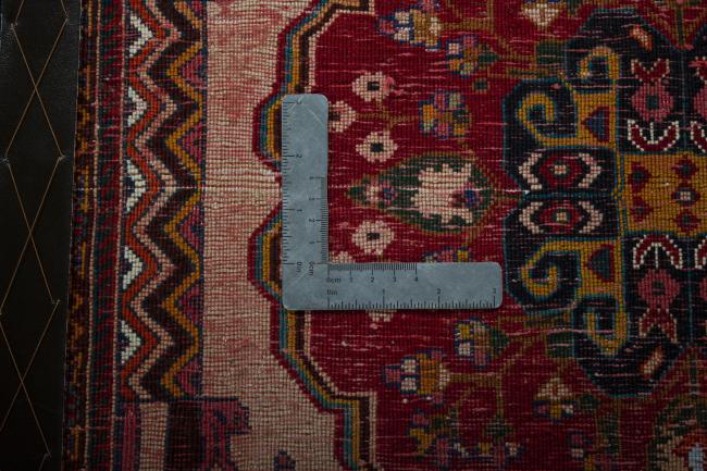 Shiraz - 4