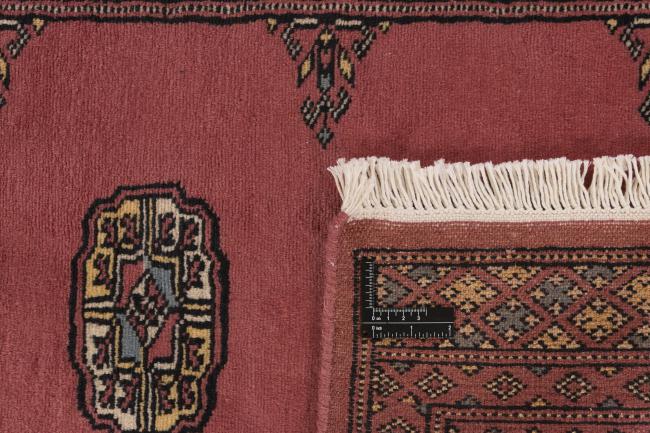 Pakistan Buchara 2ply - 1