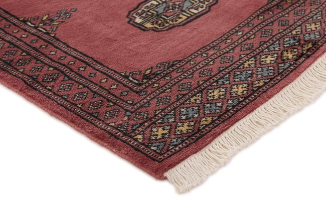 Pakistan Buchara 2ply - 3
