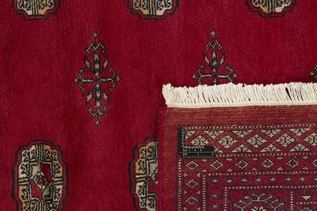 Pakistan Buchara 3ply - 1
