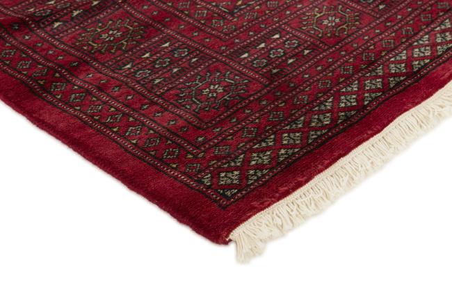Pakistan Buchara 3ply - 3