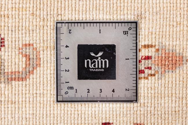 Ziegler Farahan - 10