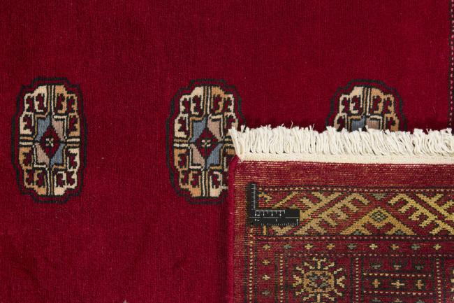 Pakistański Buchara 2ply - 1