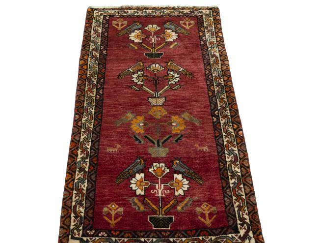 Shiraz - 4