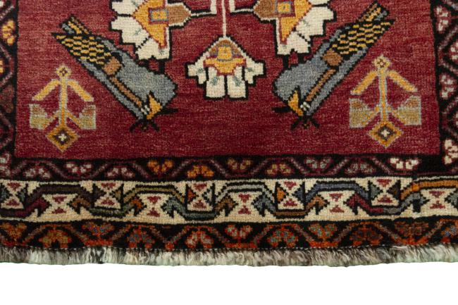 Shiraz - 6