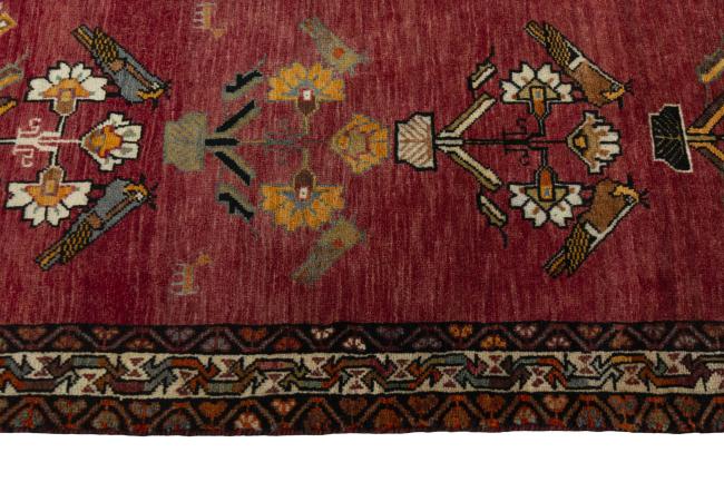 Shiraz - 7