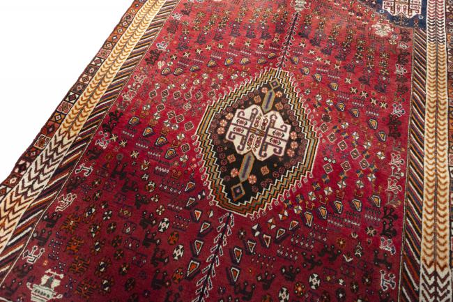 Shiraz - 6