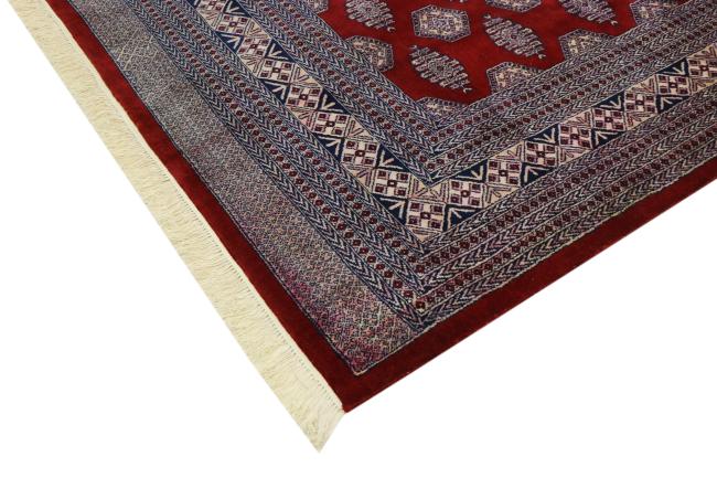 パキスタン Lahore - 5