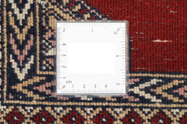 パキスタン Lahore - 8