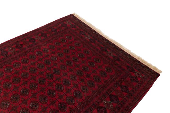 Afghan Mauri - 3