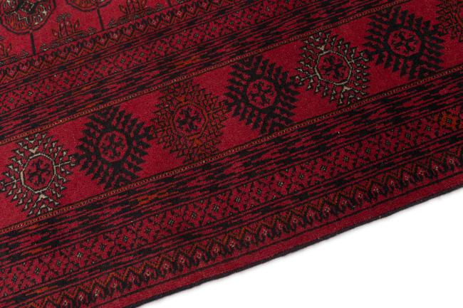 Afghan Mauri - 4