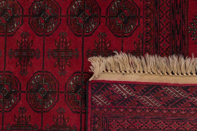 Afghan Mauri - 6