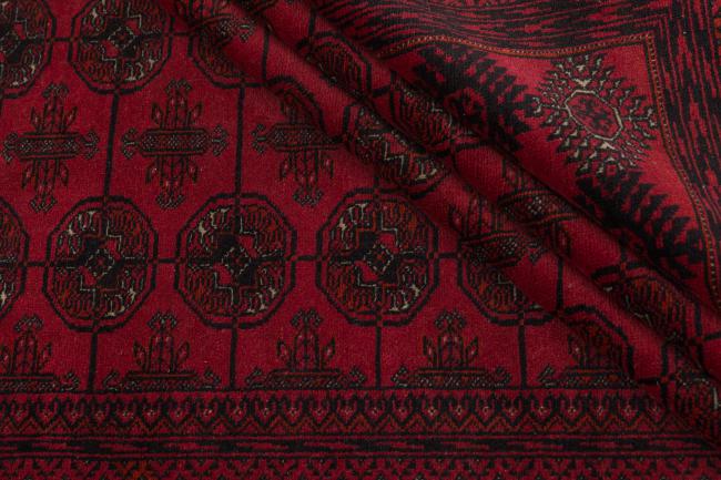 Afghan Mauri - 8